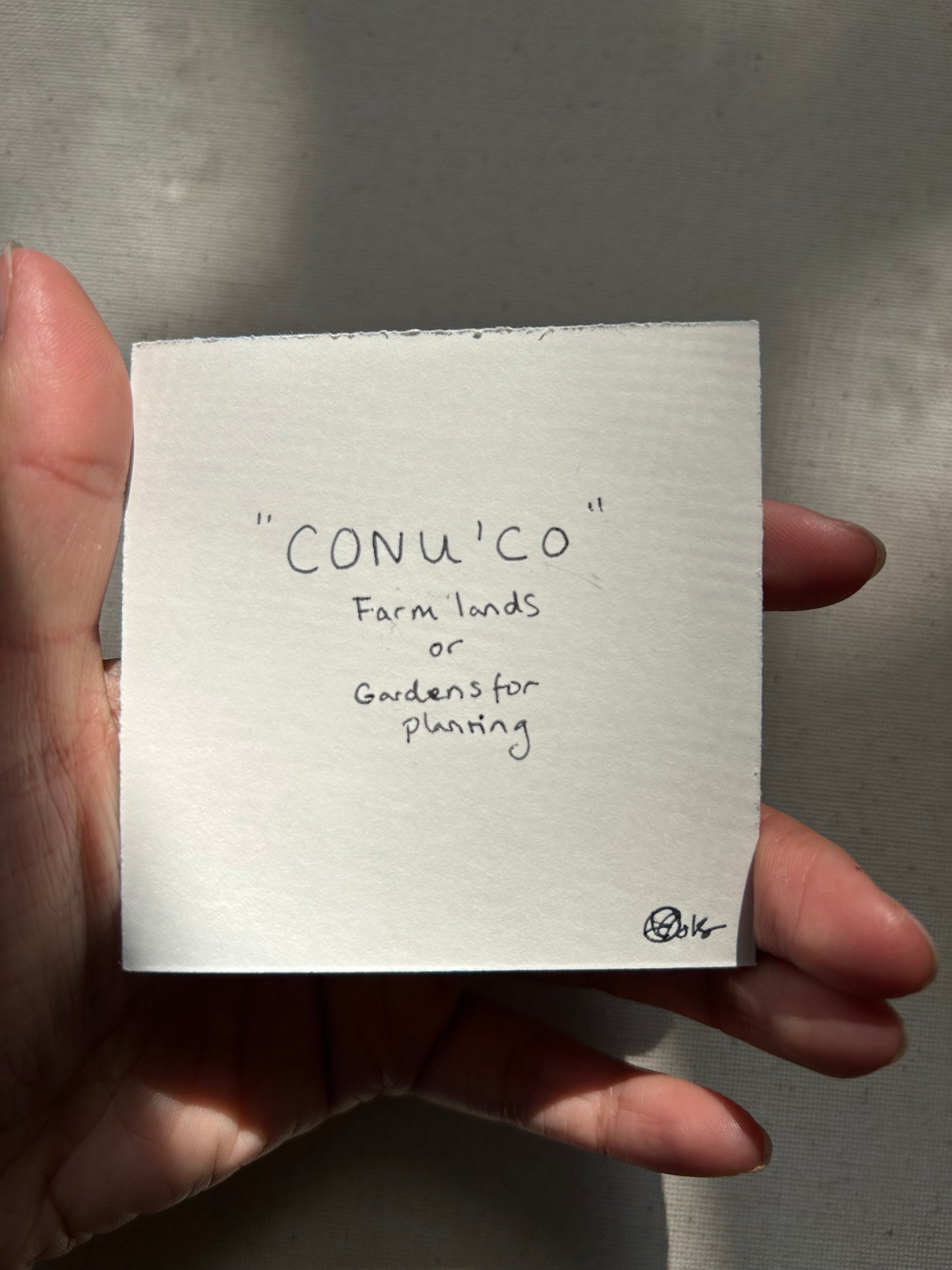 CONU’CO (Farm Lands) - Talisman Painting